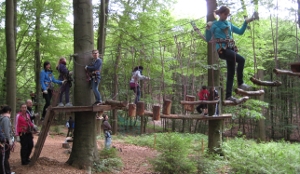 Bild Kletterwald